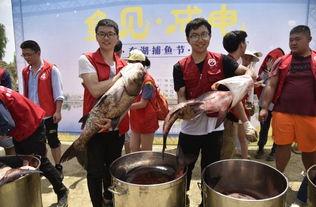 东湖体育馆吃瓜视频,一场意外的网络狂欢