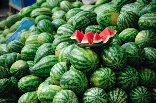四川人喜欢吃洋瓜吗视频,传统美食与现代口味的碰撞