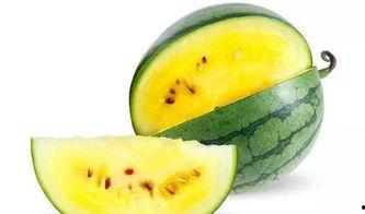 潍坊最新吃瓜视频,揭秘街头奇闻轶事