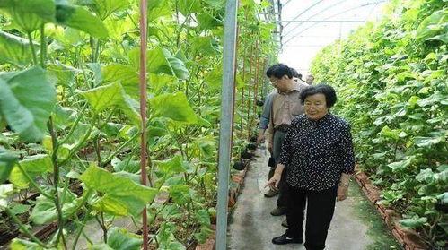 吃瓜小熊手枪酒视频,揭秘酒品背后的趣味故事