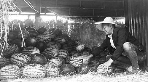 长阳吃瓜群众事件视频播放