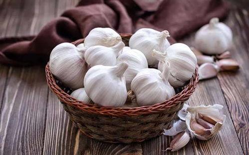 吸血瓜吃大蒜好吗视频教程,揭秘神奇食用教程