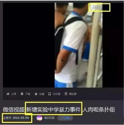 金乡吃瓜事件视频录音,一场引发热议的网络风波录音揭秘