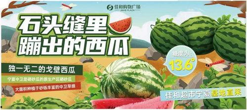 吃瓜每日大赛今日热门视频,今日热门视频盘点，吃瓜群众狂欢时刻