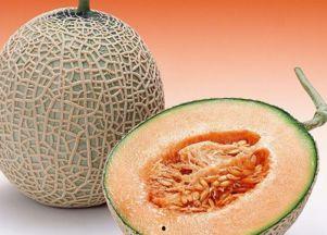 打工仔吃哈密瓜视频,甜蜜滋味中的生活感悟