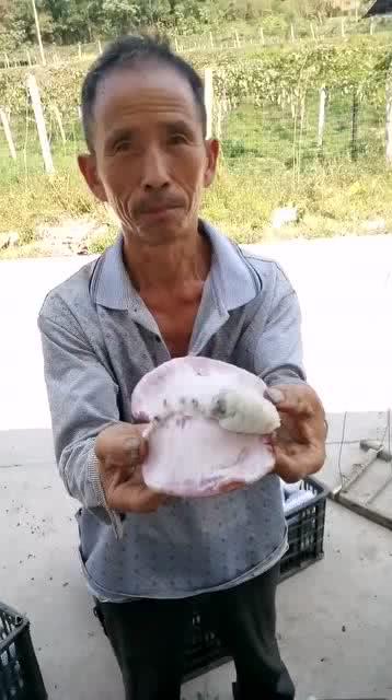 吃瓜大叔最新视频,热点事件深度剖析