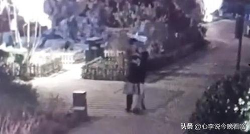 河边吃瓜事件视频大全集,视频大全集揭秘惊人真相