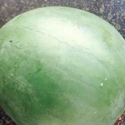 三枝花吃瓜视频,揭秘网红美食背后的故事