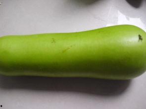 四岁吃葫芦瓜好吗视频大全,视频大全精选