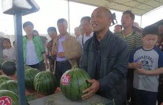 小黄毛群众吃瓜视频,揭秘网络热点的背后真相