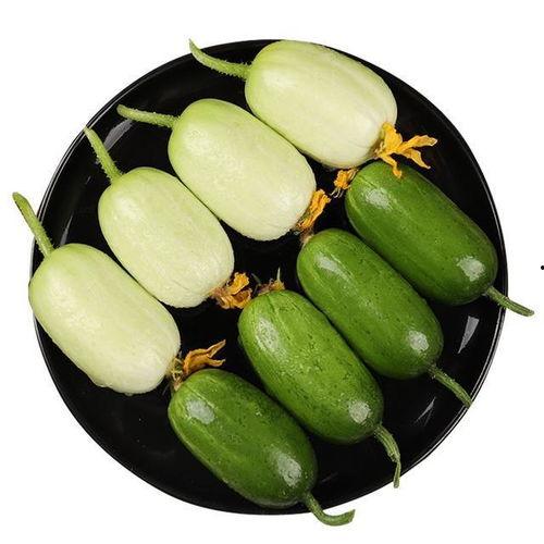 圆头瓜怎么吃最好吃视频,视频教你如何吃出最佳口感