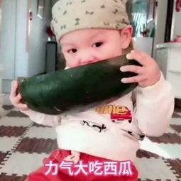 儿童小朋友吃瓜视频,小朋友欢乐吃瓜瞬间回顾
