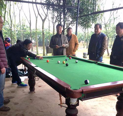 吃瓜台球桌视频大全下载,吃瓜台球桌视频大全下载攻略