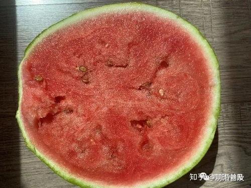 带你吃瓜科普视频大全集,视频大全集深度解析