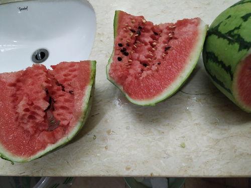 在新疆吃瓜视频怎么拍的,揭秘吃瓜视频的拍摄奥秘