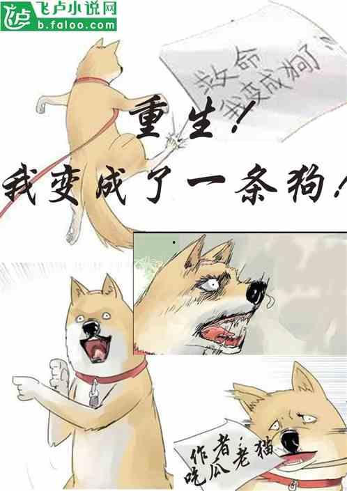 小狗可以吃老瓜嘛视频