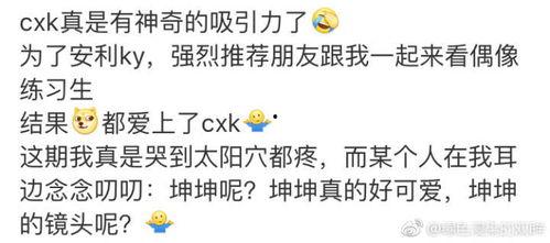 高贵冷艳吃瓜群众视频,揭秘网络视频背后的热点追踪者