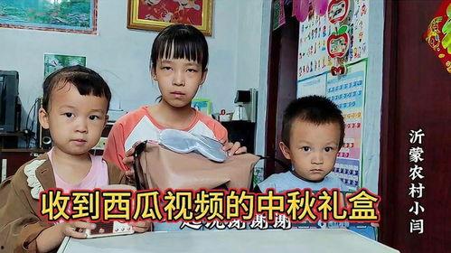 姐弟吃瓜吵架视频大全播放,笑料百出引网友热议